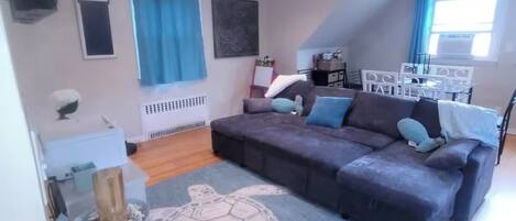 Smart TV, fireplace, books, music library