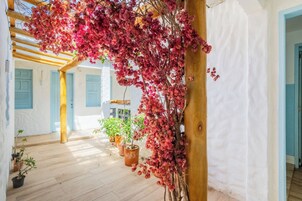 Uma área externa coberta com pérgola de madeira, plantas em vasos e uma parede branca com persianas azuis.