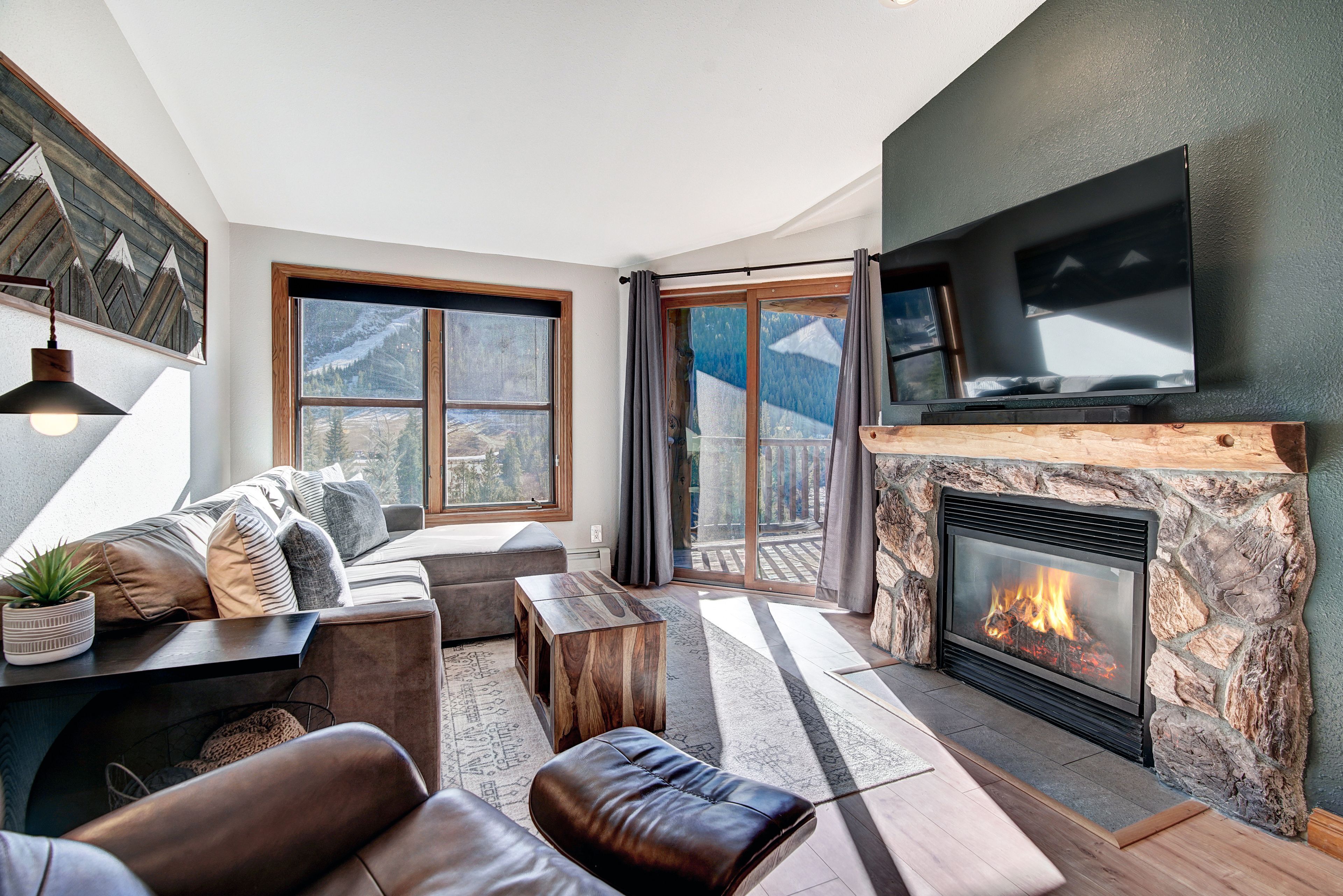 TV, fireplace, books