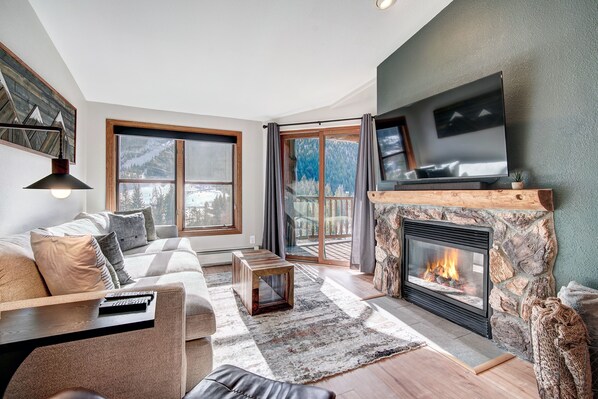 TV, fireplace, books
