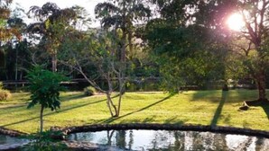 A serene outdoor area with a small pond, surrounded by grass and trees. - Rancho Pica Pau (Ubatuba)