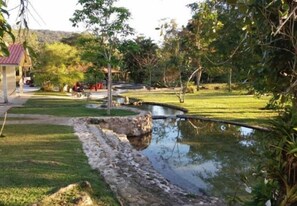 المنطقة المحيطة بالمنشأة