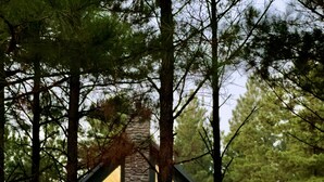 A cabin with a stone chimney, large windows, and a porch with a railing.