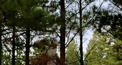 The TORTOISE SHELL - LUXURY CABIN -HotTub- Firepit -Stone Porch- Rocking Chairs