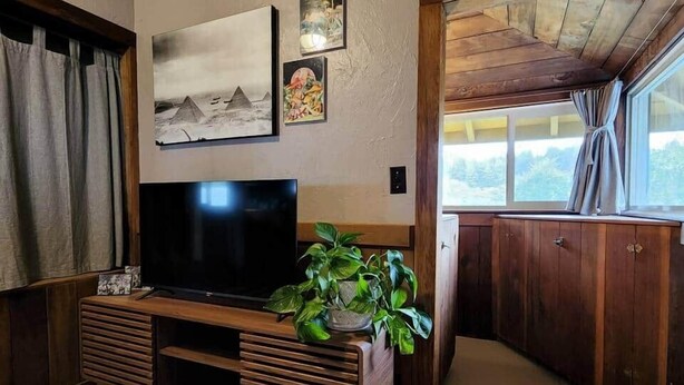 Ein Wohnzimmer mit einer Holztrenneinrichtung, einem Flachbildfernseher und einem Blumentopf.
