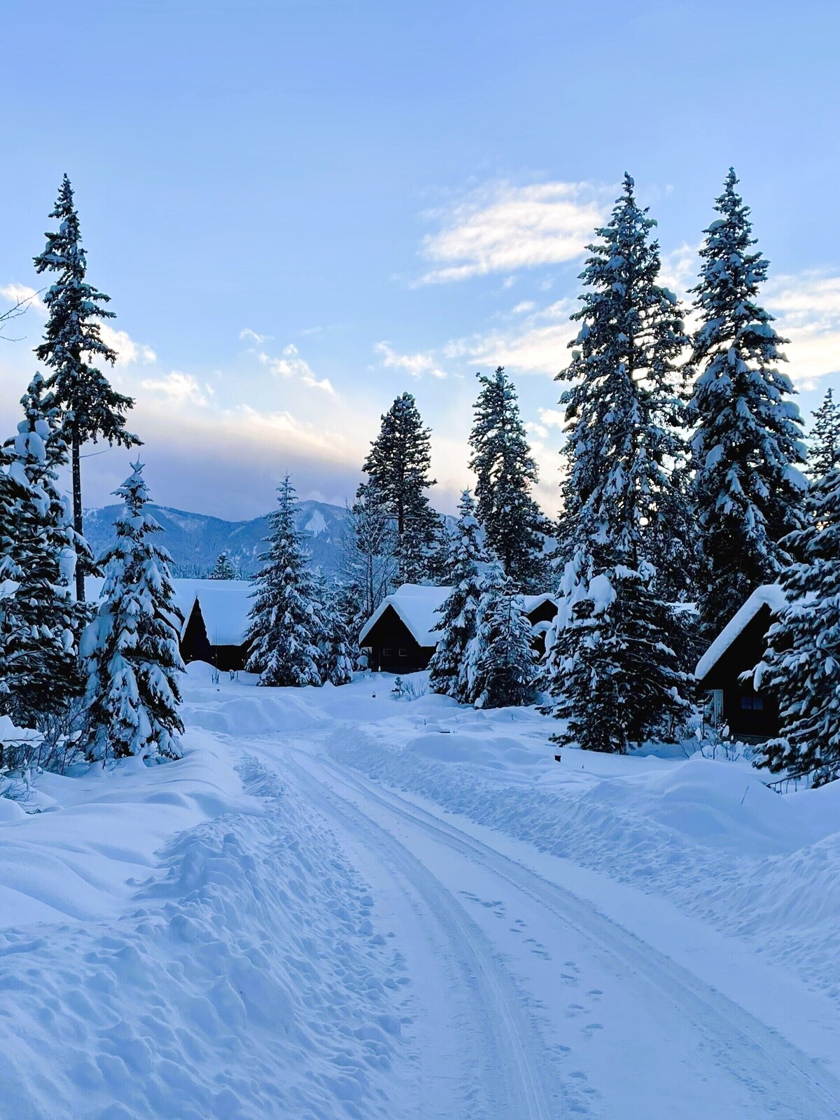 Foto de perfil del anfitrión