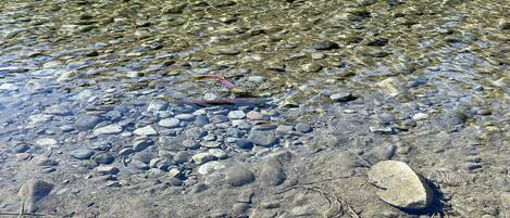 A riverbank with clear water, pebbles, and a single red object.