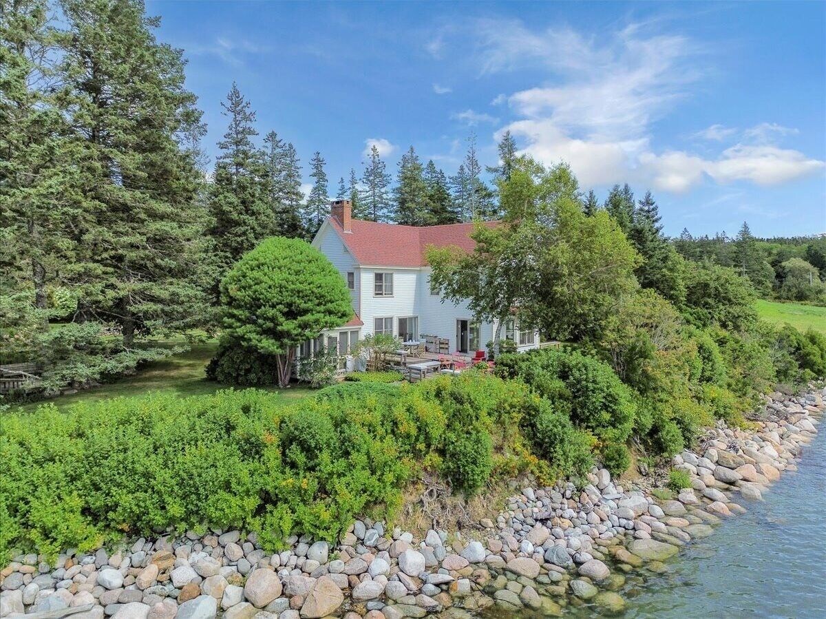 Imagen de perfil del propietario o de la propietaria