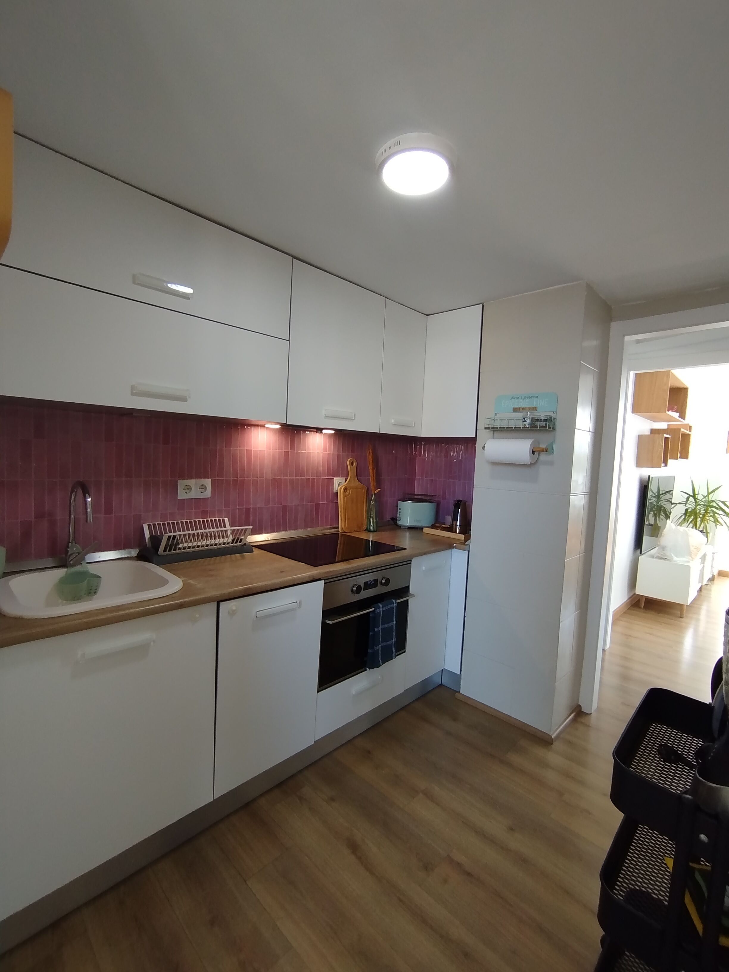 Een magnetron, een oven, een kookplaat, een vaatwasser