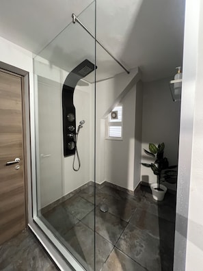 Hair dryer, towels, soap, shampoo