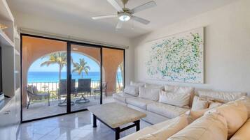 TV, fireplace, books