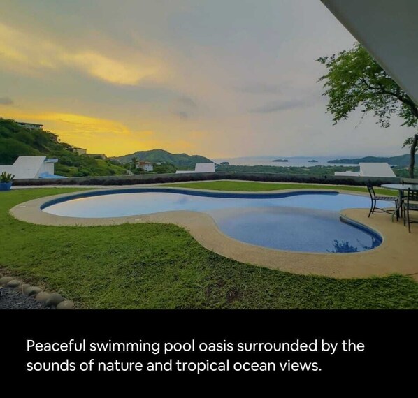 A swimming pool with a curved design surrounded by grass and a view of the ocean.