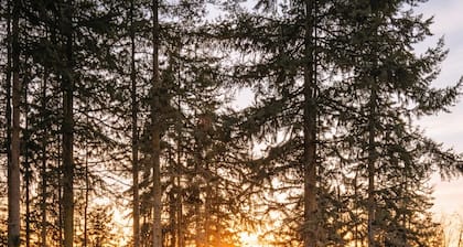 Stroll to Beach - Waterside Community Pool - 2 King Beds - Fresh Herb Garden