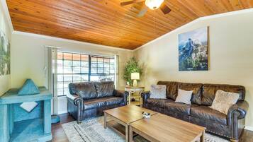 TV, fireplace, books