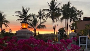 A garden with pink bougainvillea flowers, palm trees, and a gazebo with a lantern. - Oceanview Penthouse Casa Del Mar (San José del Cabo)