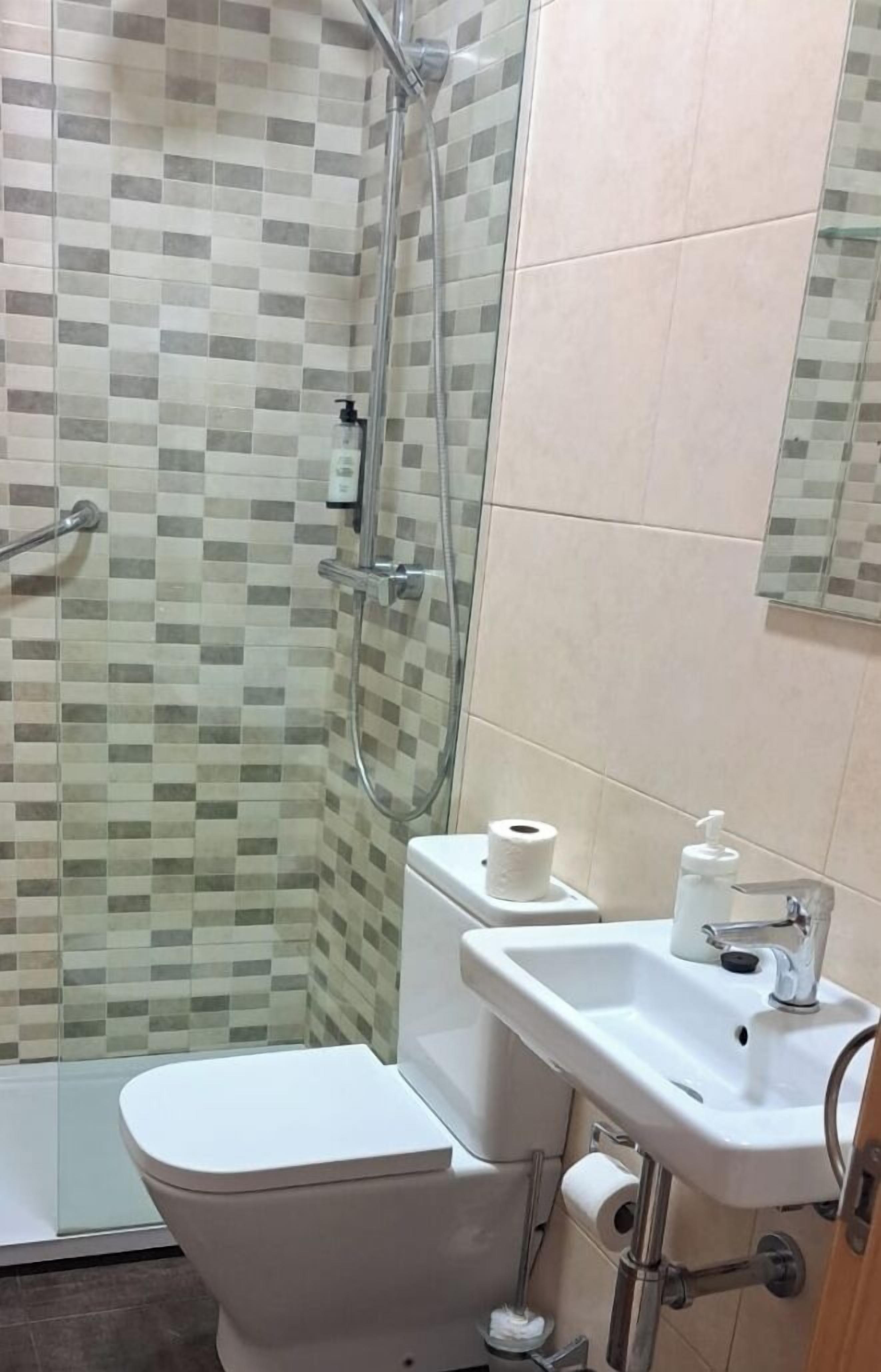 A bathroom with a tiled shower, a toilet, a sink, and a mirror.
