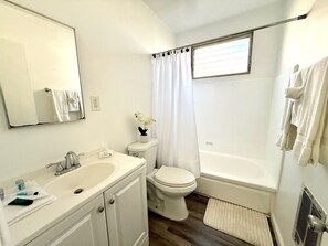 Hair dryer, towels, soap, toilet paper
