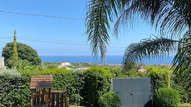 Blick auf eine Küstenlandschaft mit einer hölzernen Bank, dichter Vegetation und einem weiten Blick auf das Meer.