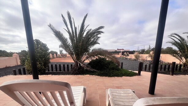 A terrace with two white lounge chairs, a palm tree, and a view of a landscaped area with a building in the background. - La Cuadra, where time stands still. (El Time)