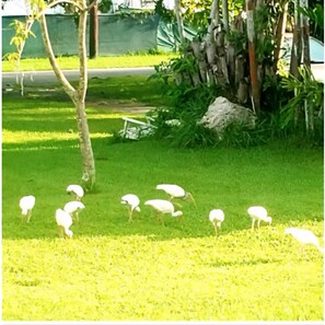 المنطقة المحيطة بالمنشأة