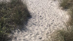 A sandy beach path leading to the ocean with a blue umbrella and a green tent in the distance. - Charming 2-bedroom condo overlooking Sarasota Bay on Longboat Key (Longboat Key)