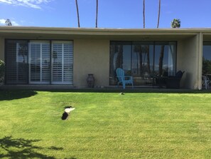 Terrace/patio - 30 days+, 2-bedroom condo in Palm Desert, California, with view, hot tub & pool (Palm Desert)