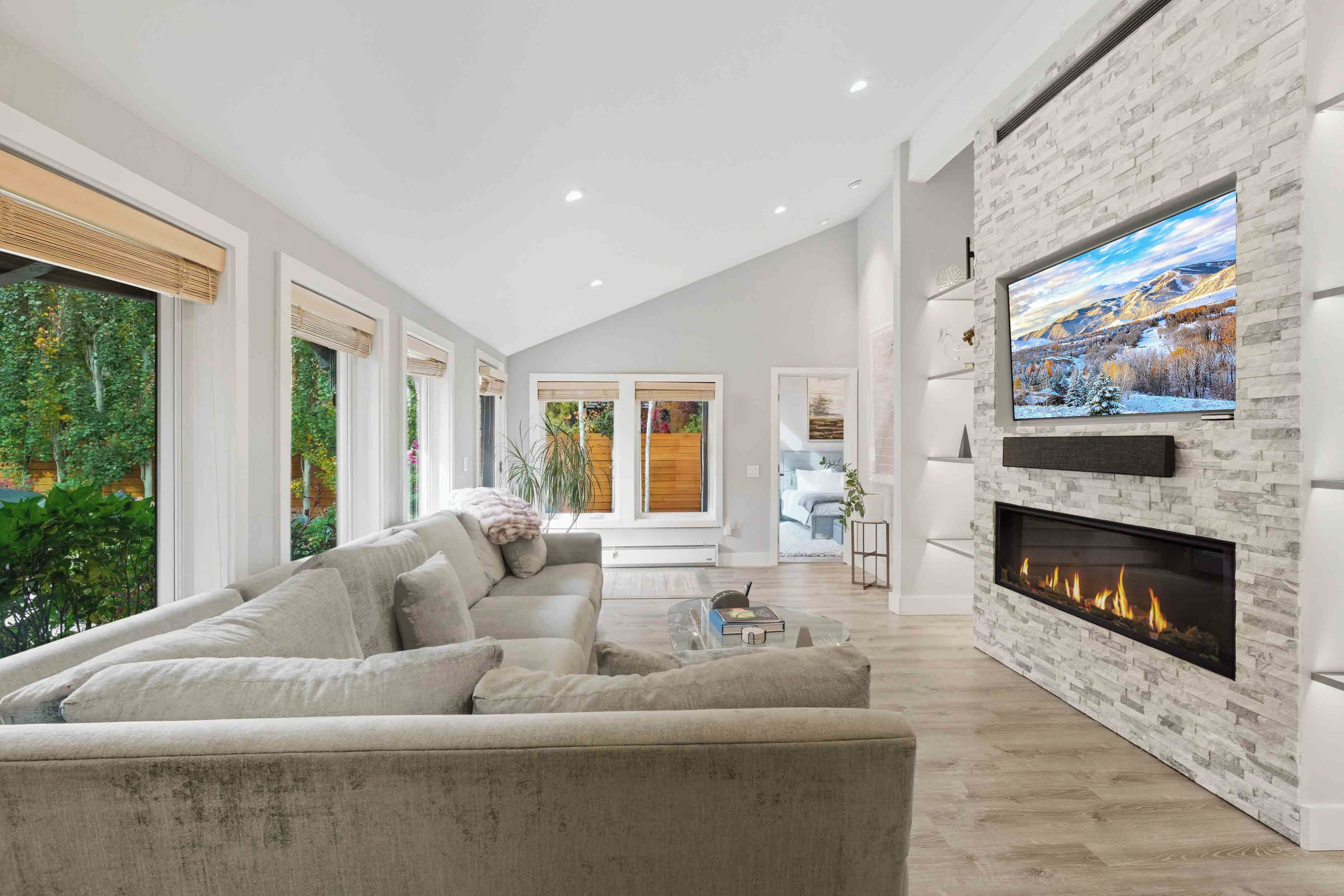 Smart TV, fireplace, books