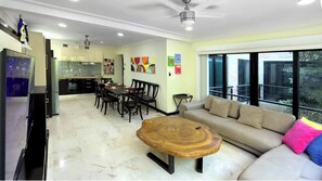 TV