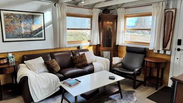 Smart TV, fireplace, books