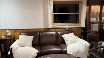 TV connectée, cheminée, livres