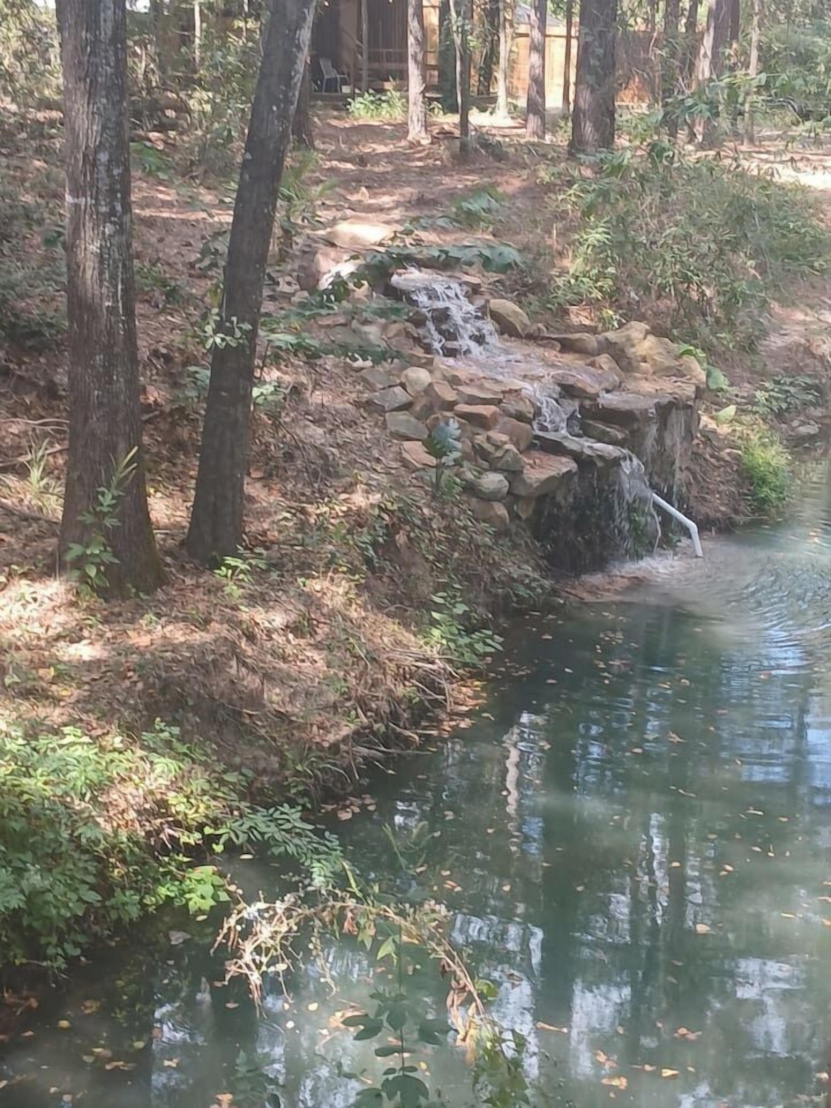 A natural water feature with a small waterfall, surrounded by trees and rocks.