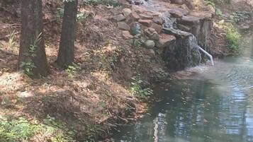 A natural water feature with a small waterfall, surrounded by trees and rocks.