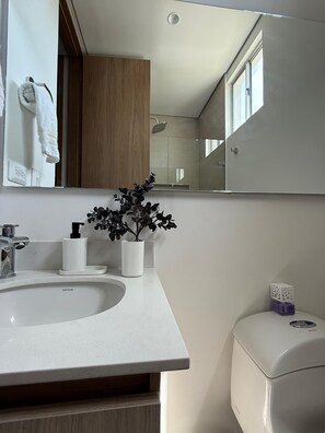 Shower, towels, toilet paper