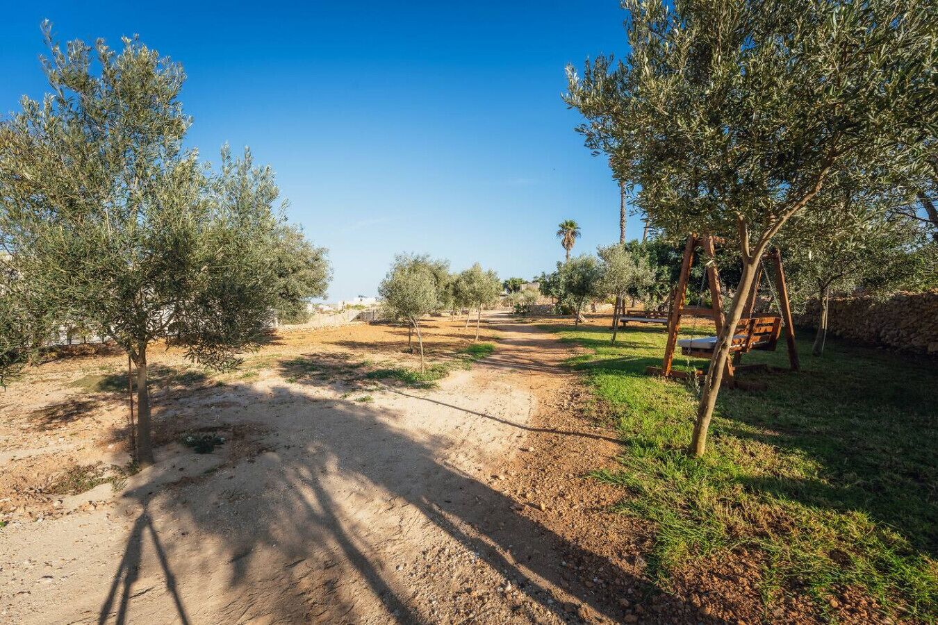 A dirt path leading through an olive grove with a wooden swing set on the right.