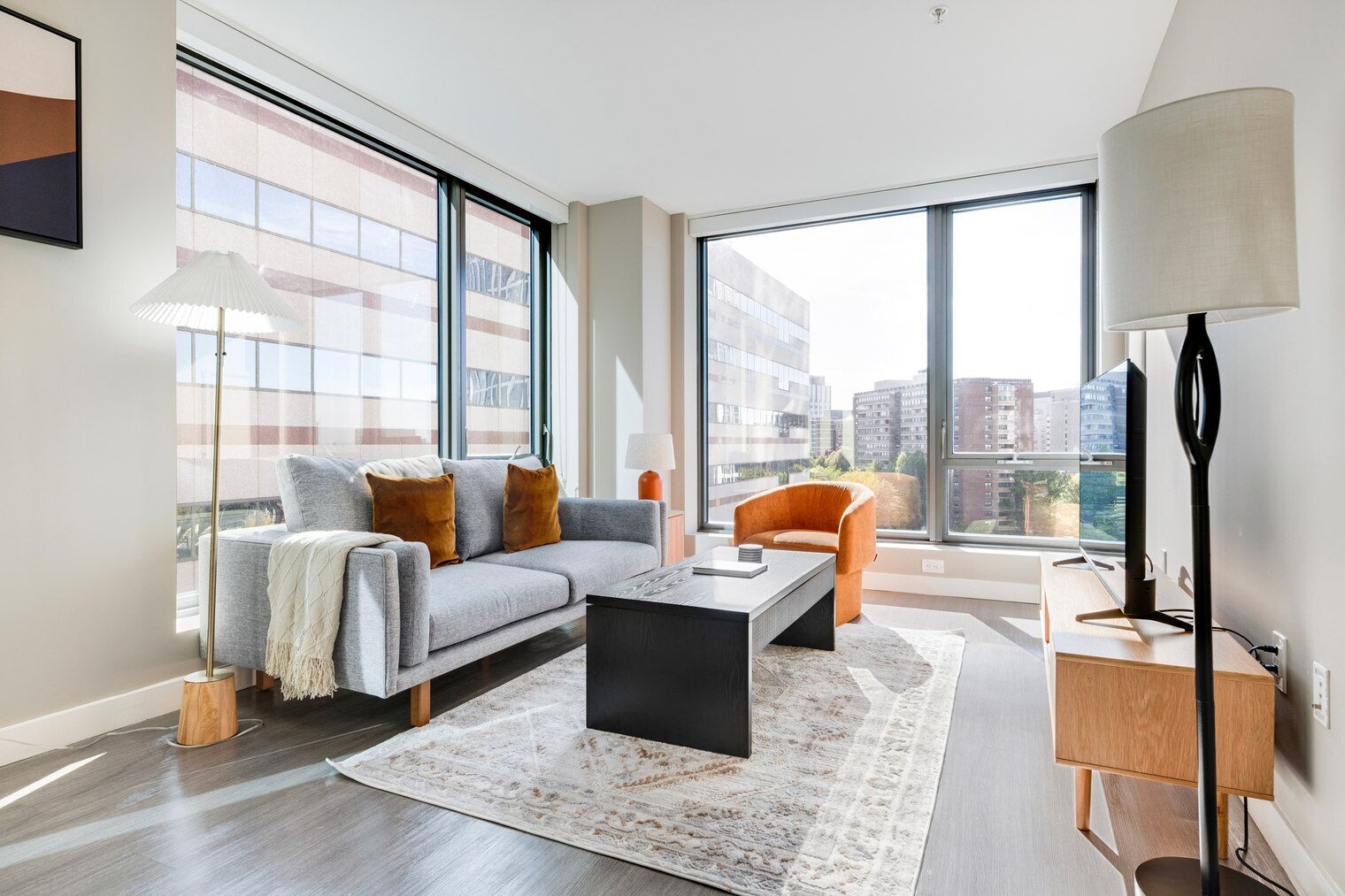 Televisión y estéreo 