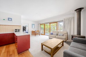 Televisión y chimenea