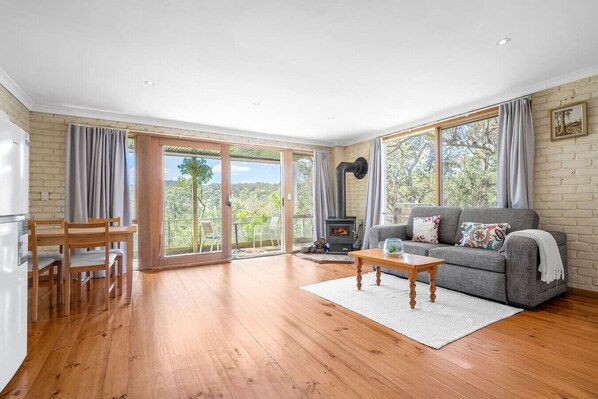 Televisión y chimenea 