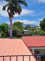 Tejado rojo con una palmera y vista a una montaña al fondo.