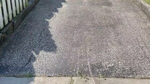 Un camino de entrada residencial que conduce a una puerta de garaje, bordeado por una valla de madera y una hilera de árboles de hoja perenne.