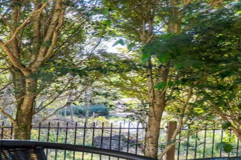 Overnattingsstedets uteområder