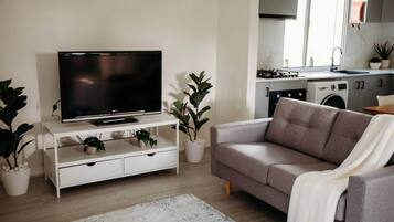 Televisión, chimenea