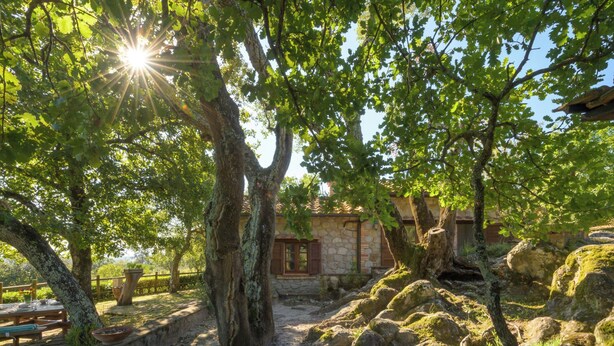 Parco della struttura