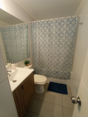 Hair dryer, towels, soap, toilet paper - Live Santiago with Style and Space (Santiago)