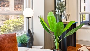 Una sala de estar moderna con un sofá, una planta en maceta, una lámpara y un tapiz de cuero de vaca.