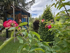 المنطقة المحيطة بالمنشأة