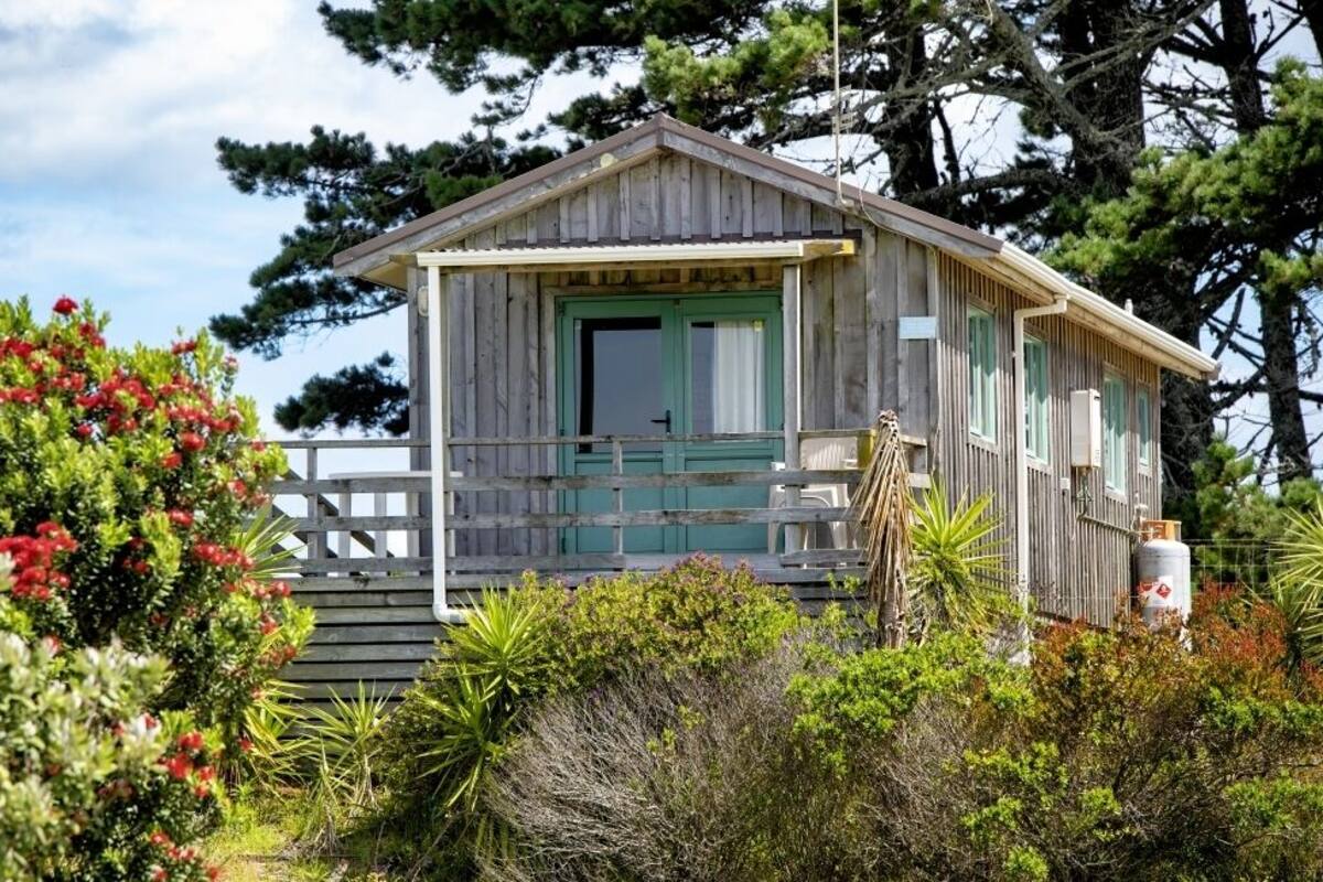 A wooden cabin with a green door, surrounded by lush vegetation and trees.