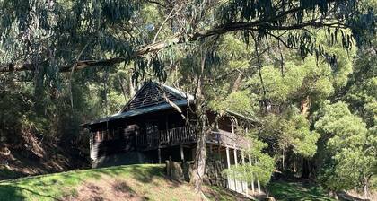 Tall Trees Eco Retreat - Blackwood Cottage