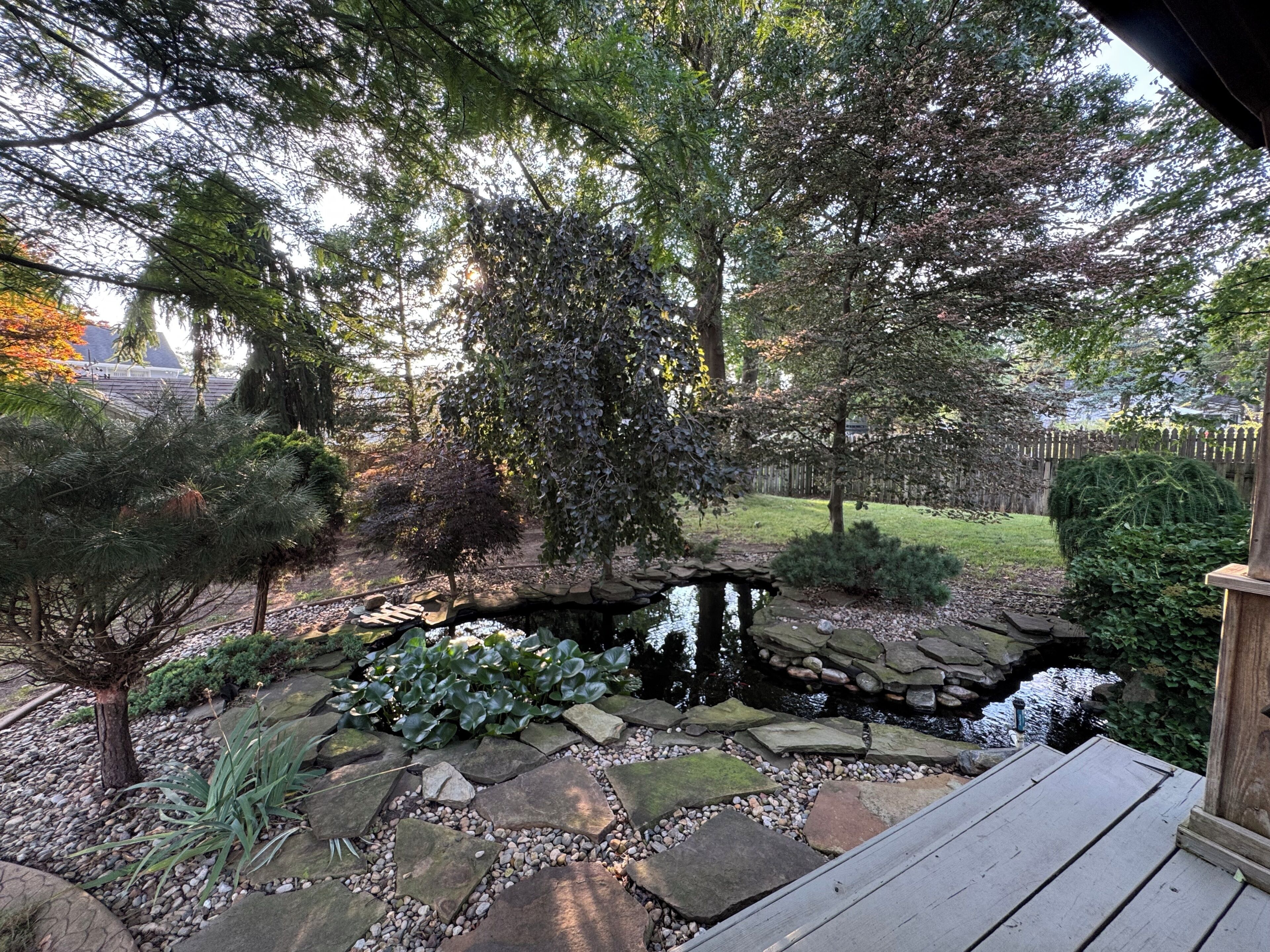 A garden with a pond, stone pathway, and wooden deck.