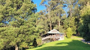 A wooden cabin with a balcony, surrounded by dense trees and a grassy area. - Tall Trees Eco Retreat - Manna Gum Cottage (Apollo Bay)