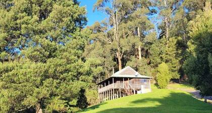 Tall Trees Eco Retreat - Manna Gum Cottage